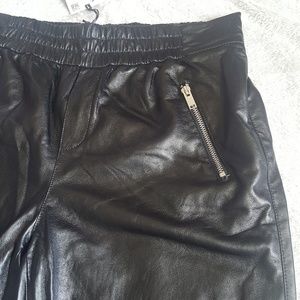 Zara Pants - Zara Premium faux leather zipper jogger pant NWT Zara Pants - Zara Premium faux leather zipper jogger pant NWT